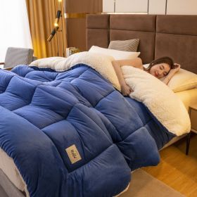Thickened Milk Fiber Quilt Double-sided Velvet Warm Thickened Duvet Insert (Option: Blue-150x200cm 3500g)